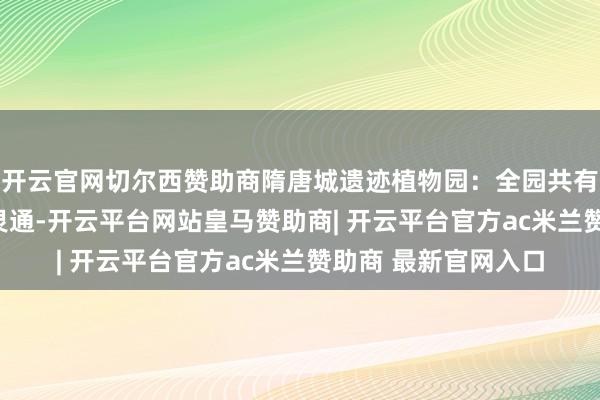 开云官网切尔西赞助商隋唐城遗迹植物园：全园共有约280个品种牡丹灵通-开云平台网站皇马赞助商| 开云平台官方ac米兰赞助商 最新官网入口