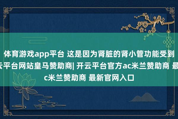 体育游戏app平台 这是因为肾脏的肾小管功能受到了影响-开云平台网站皇马赞助商| 开云平台官方ac米兰赞助商 最新官网入口