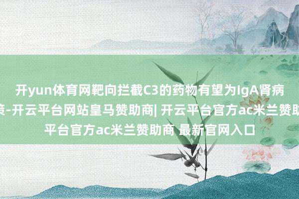 开yun体育网靶向拦截C3的药物有望为IgA肾病的颐养提供新政策-开云平台网站皇马赞助商| 开云平台官方ac米兰赞助商 最新官网入口